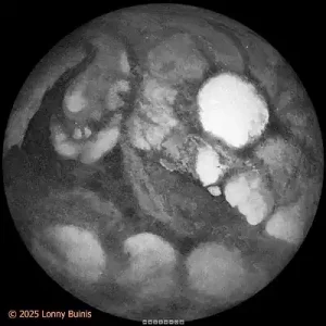 VR Mars 1896, from Illustration by Lucien Rudaux